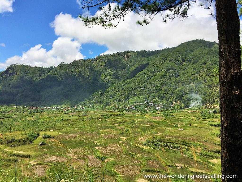 sagada 21