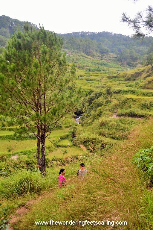 sagada 5