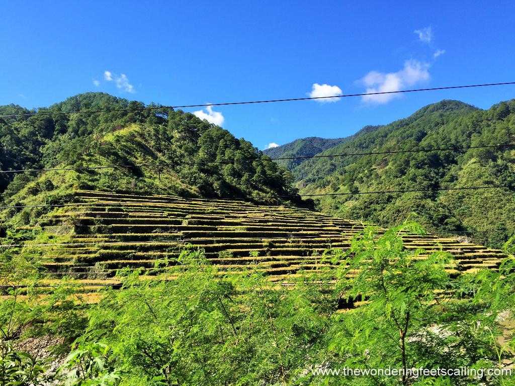 sagada 8