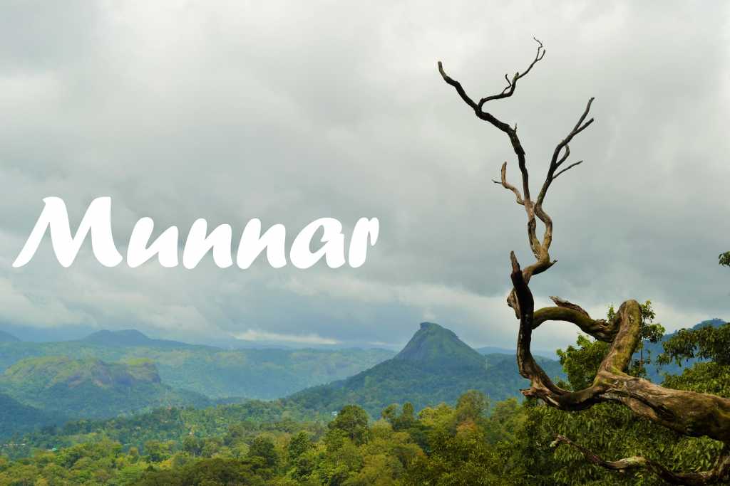 Munnar India