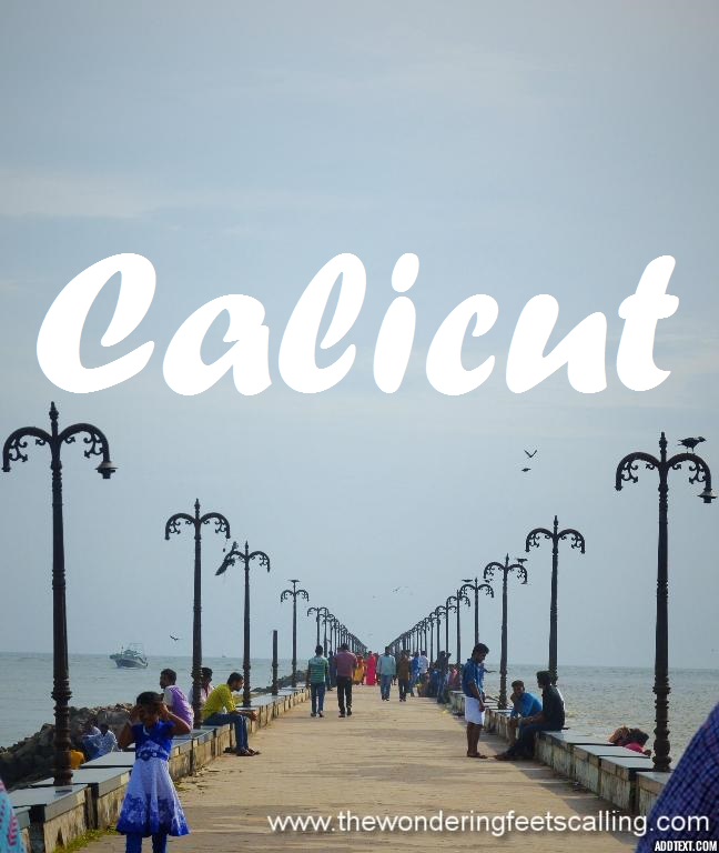 Calicut Beypore port India