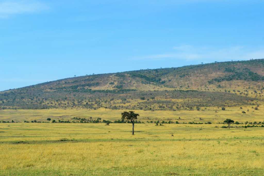 Masai Mara Day 2- Stretch of Land