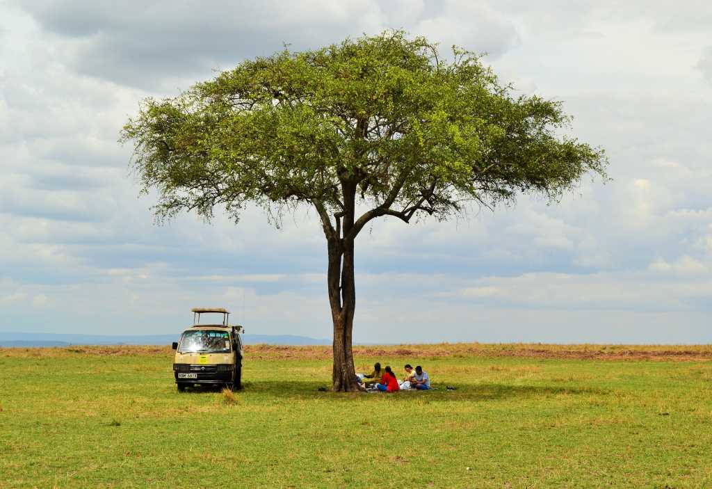 Masai Mara Day 2- Picnic