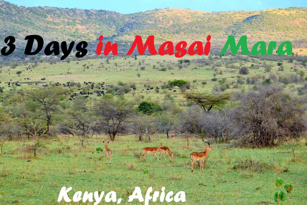 3 Days in Masai Mara, Kenya, Africa