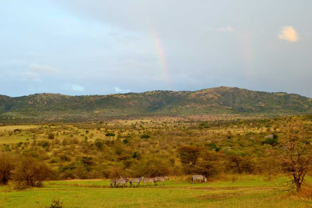 masai-mara-day1-rainbow