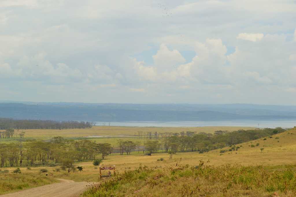 Lake Nakuru view