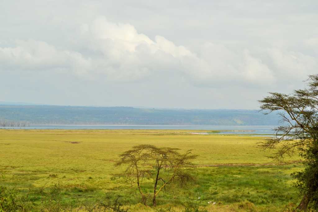 Lake Nakuru view