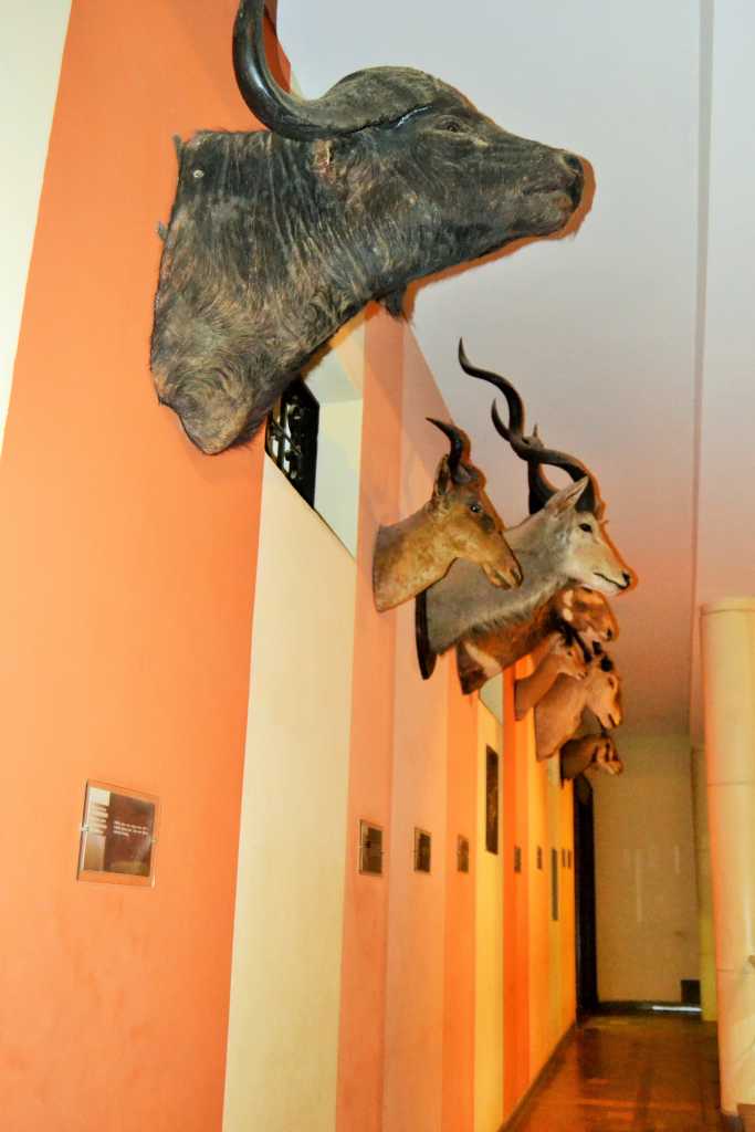 Nairobi National Museum